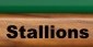 Search the Database
